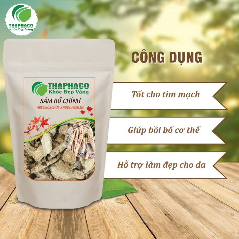 Công dụng của sâm bố chính đối với sức khỏe