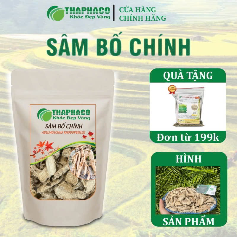 sam bo chinh (17)