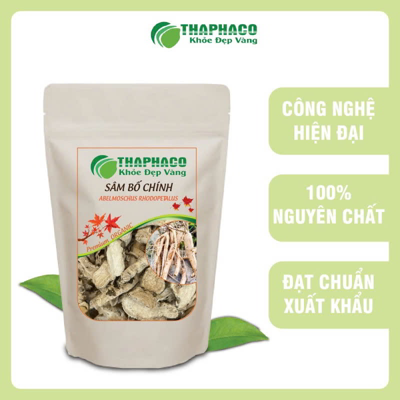 Lợi ích của sâm bố chính
