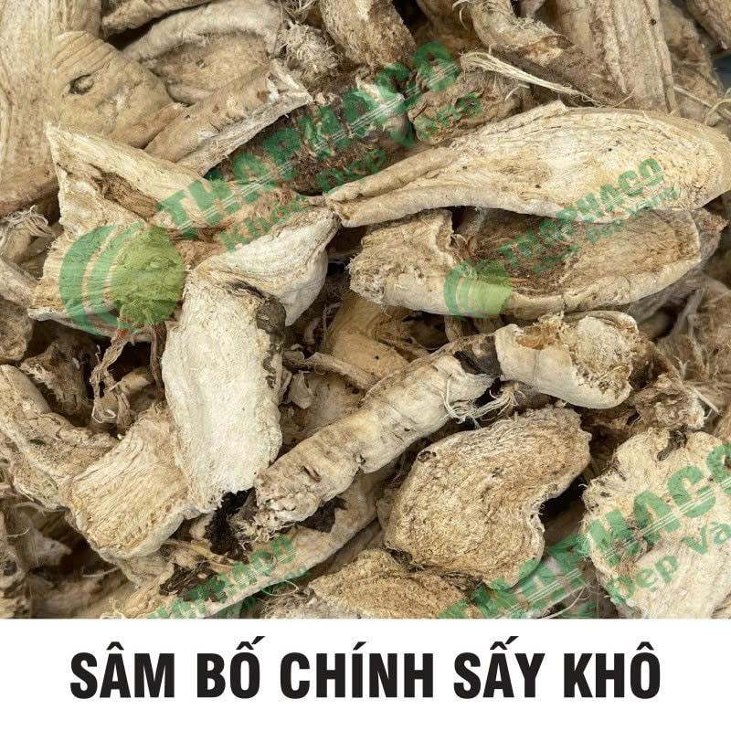 Sâm bố chính chất lượng