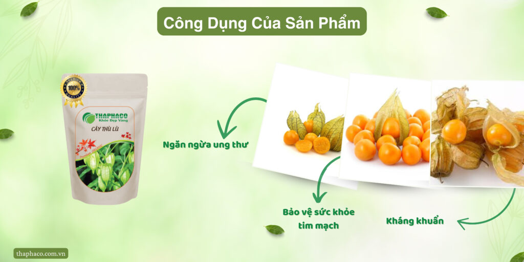 Công dụng của tầm bóp tại TP.HCM