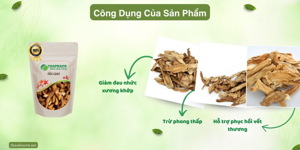 Công dụng của tần giao tại TP.HCM