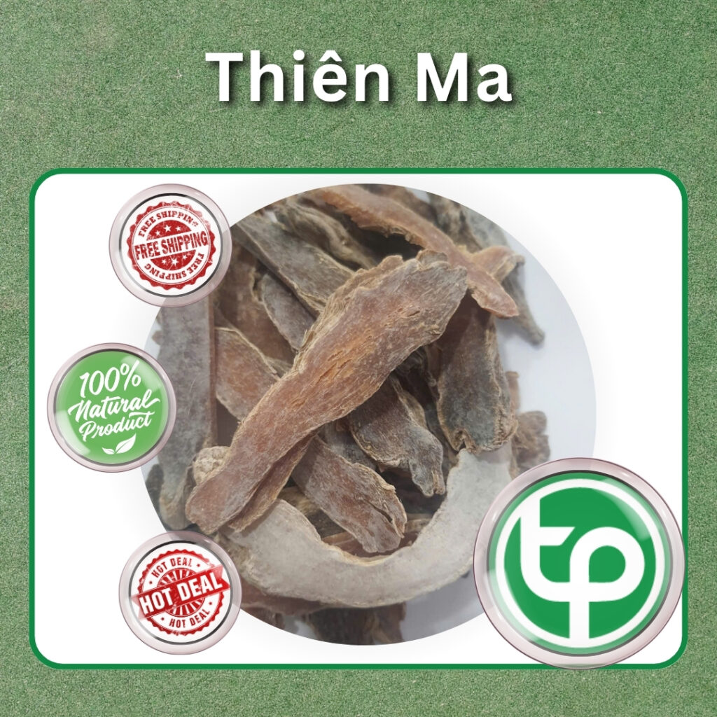 Sản phẩm thiên ma tại TP.HCM