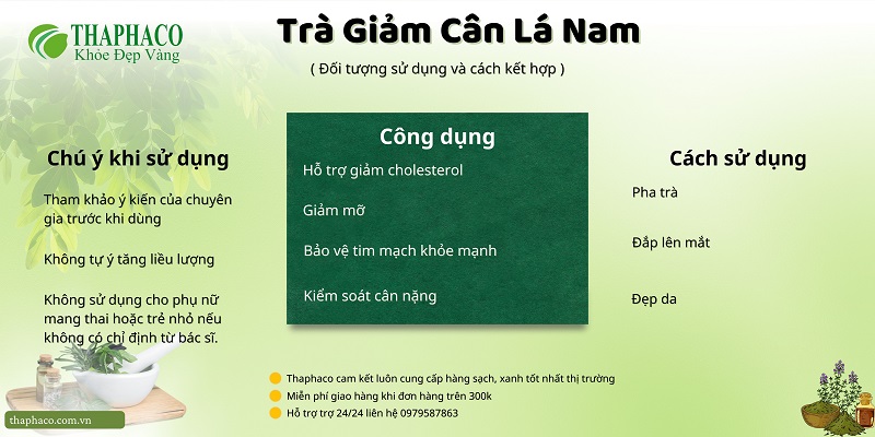 Lưu ý khi dùng trà lá nam giảm cân 