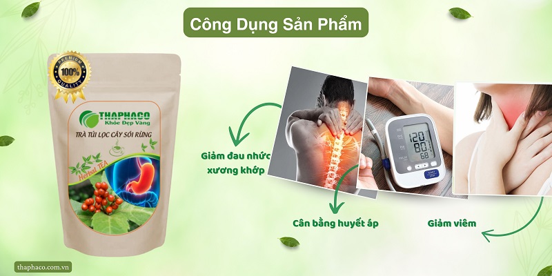 Công dụng của trà cây sói rừng