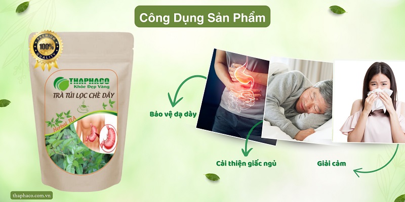 Cách sử dụng trà túi lọc chè dây đúng cách