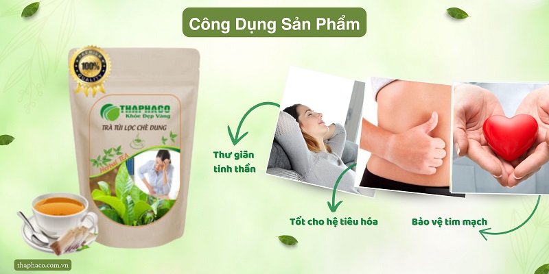 Cách sử dụng trà chè dung vàng  tại nhà