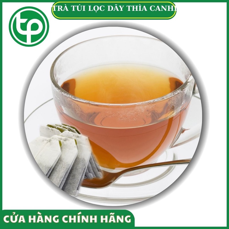 Trà túi lọc dây thìa canh tại HCM THAPHACO (Tấn Phát Group)