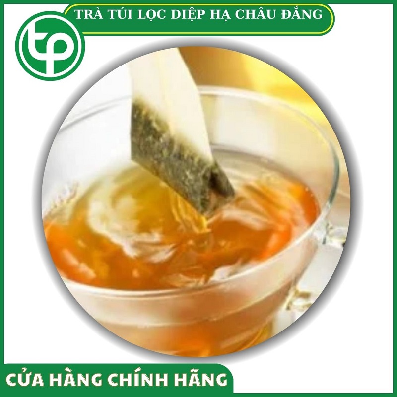 Trà túi lọc diệp hạ châu đắng tại HCM THAPHACO ( Tấn Phát Group)