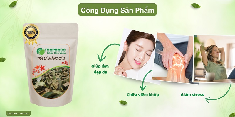 Công dụng của trà lá mãng cầu