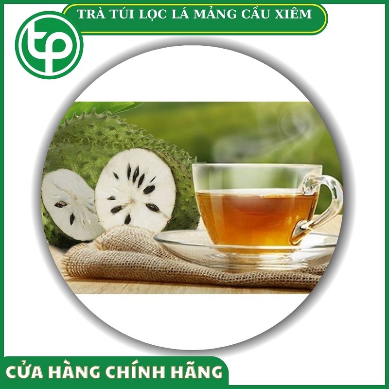 Trà túi lọc lá mãng cầu xiêm tại HCM THAPHACO (Tấn Phát Group)