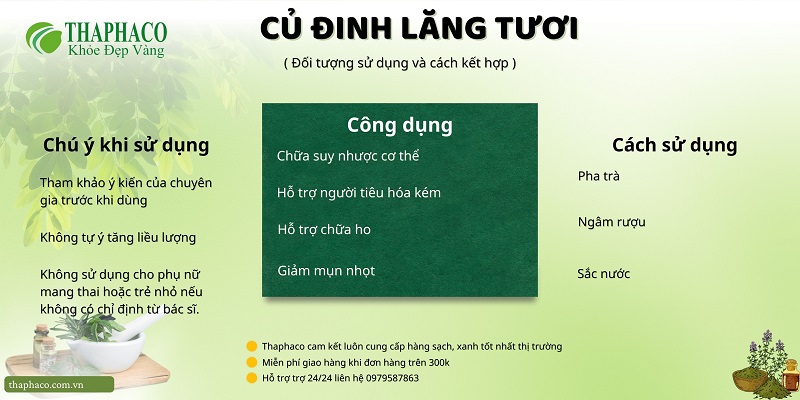 Lưu ý khi dùng củ đinh lăng tươi