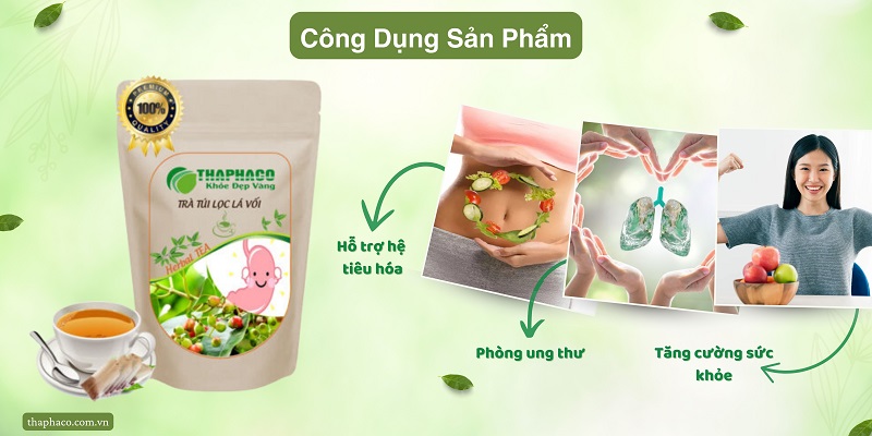 Tác dụng của trà lá vối đối với sức khỏe