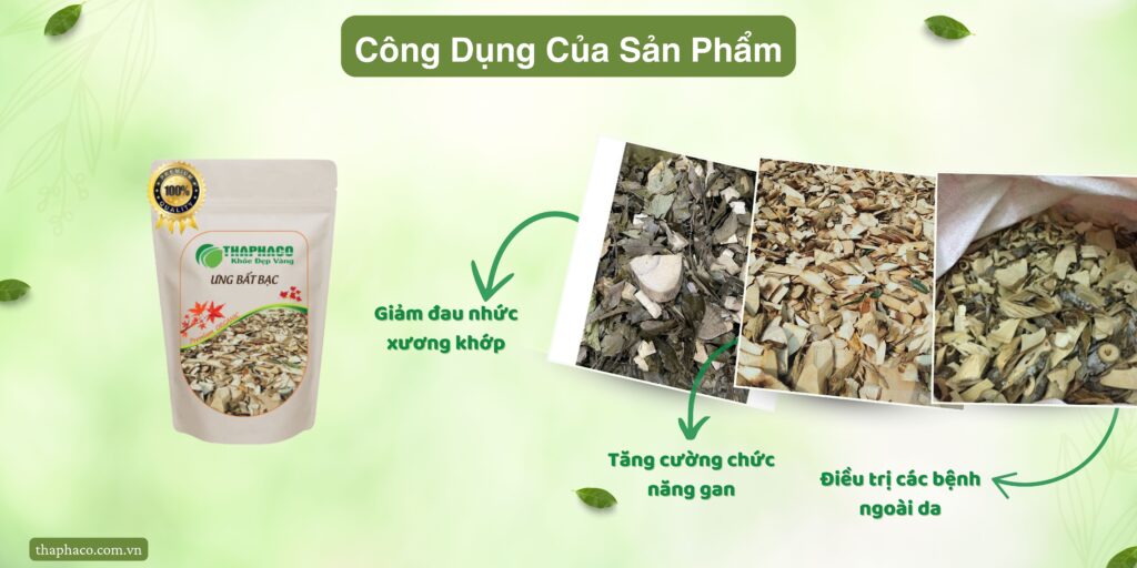 Công dụng của ưng bất bạc tại TP.HCM