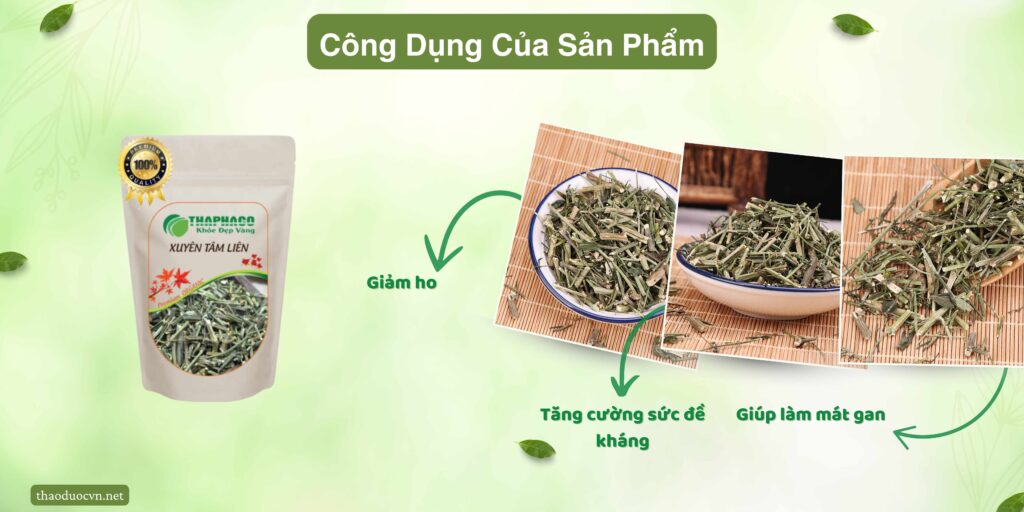 Công dụng của xuyên tâm liên tại TP.HCM