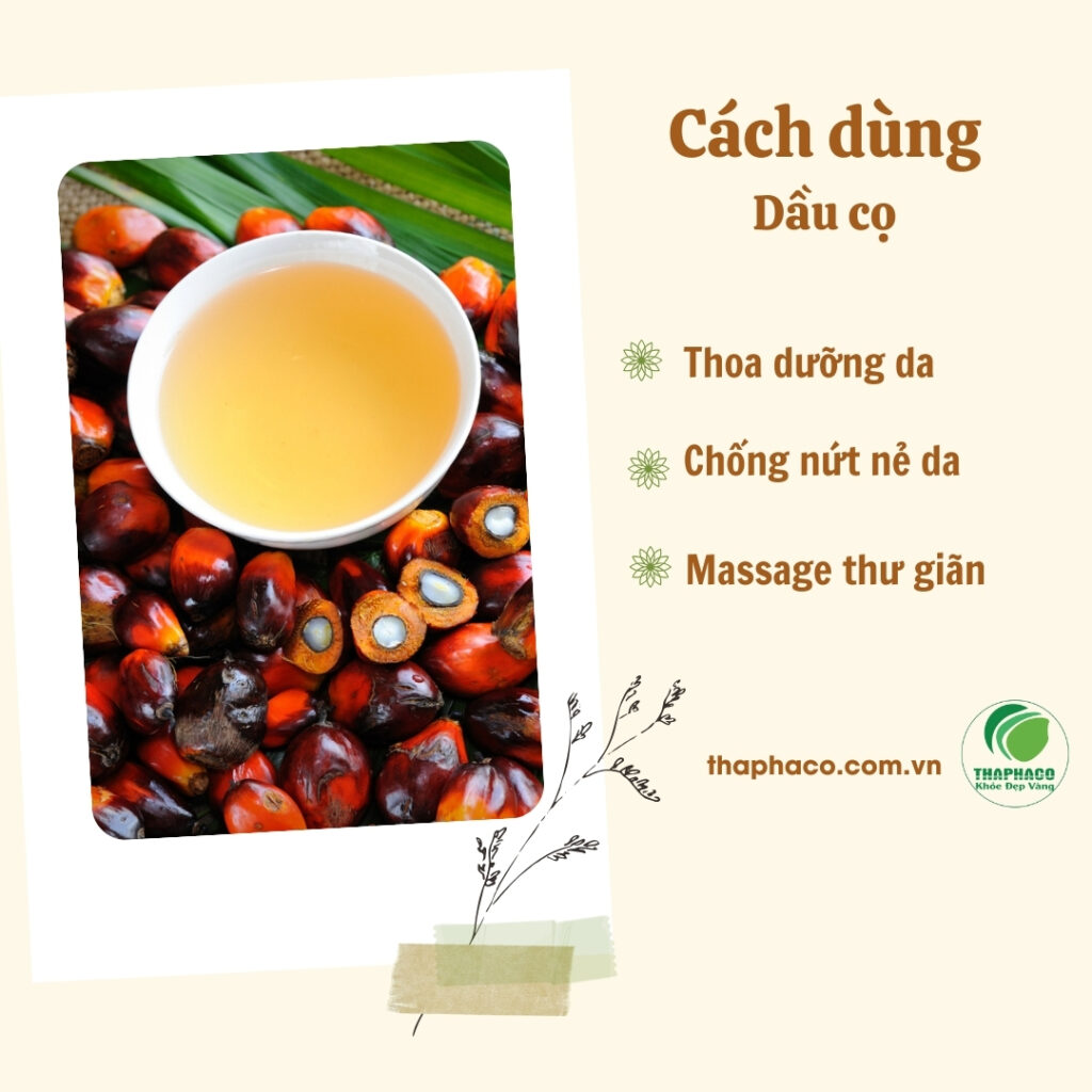 Hướng dẫn sử dụng dầu cọ tại TP.HCM