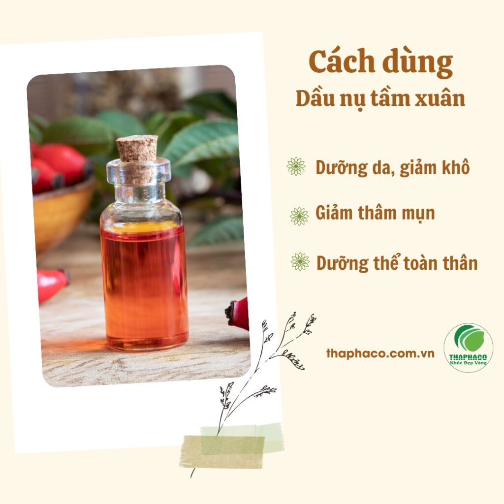 Cách sử dụng dầu nụ tầm xuân tại TP.HCM