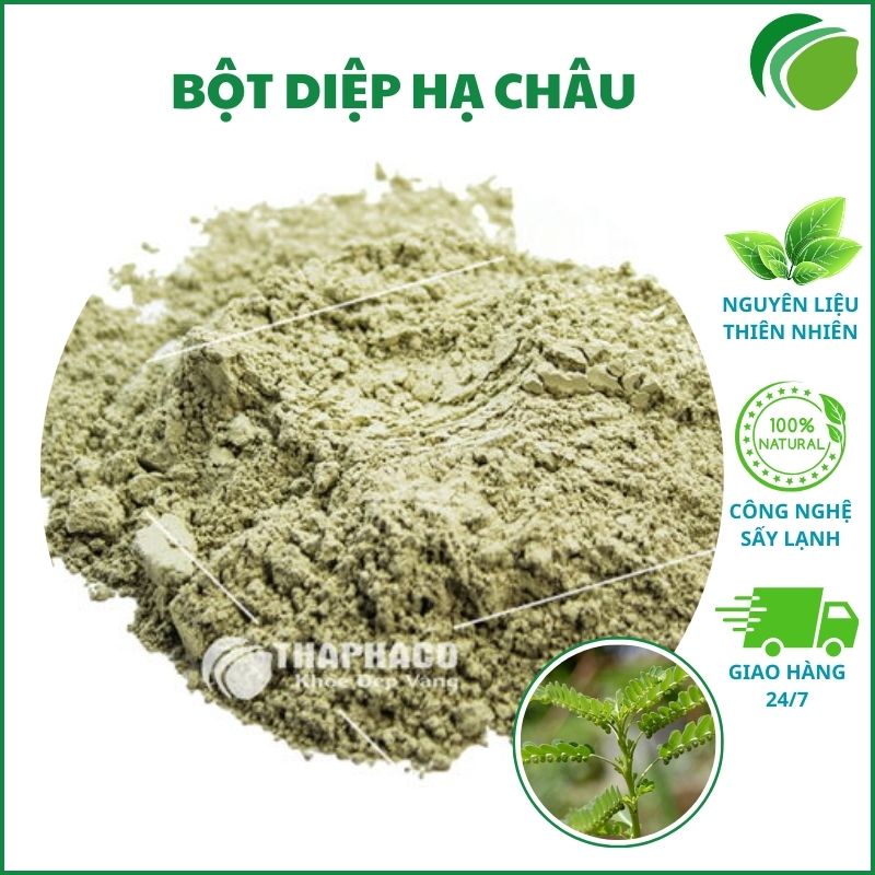 Bột diệp hạ châu tại HCM chất lượng cao