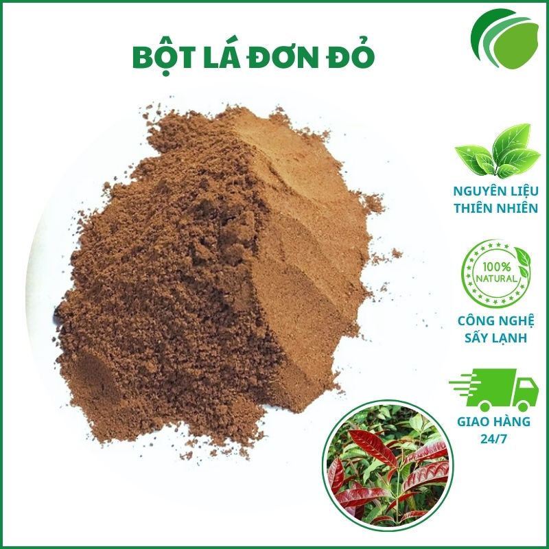 Bột lá đơn đỏ tại HCM uy tín, chất lượng cao