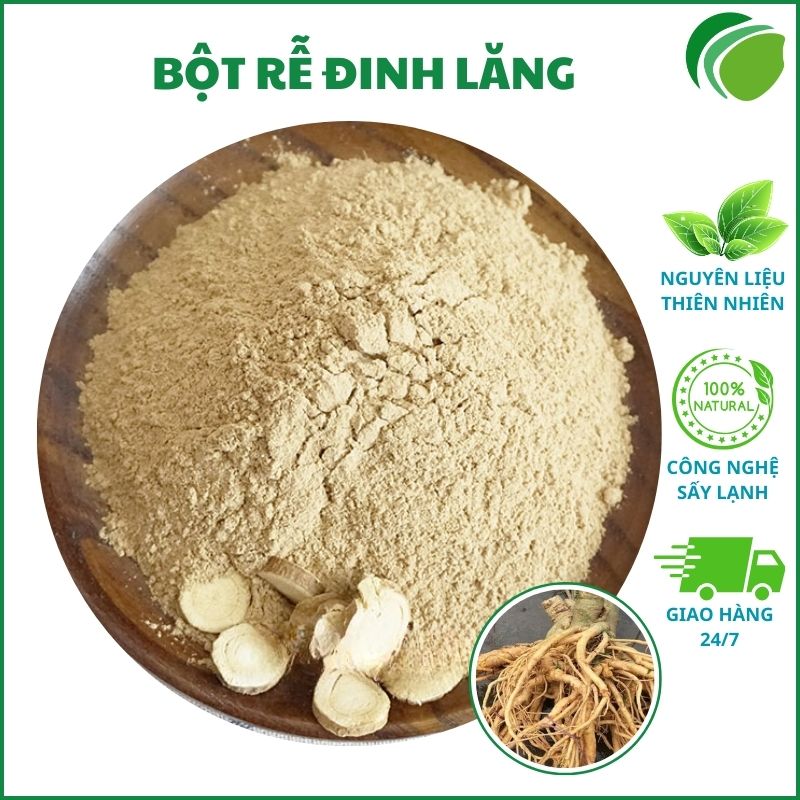 Bột rễ đinh lăng tại HCM