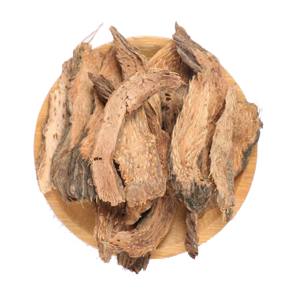 THAPHACO là chỗ bán thiên niên kiện tại Củ Chi uy tín