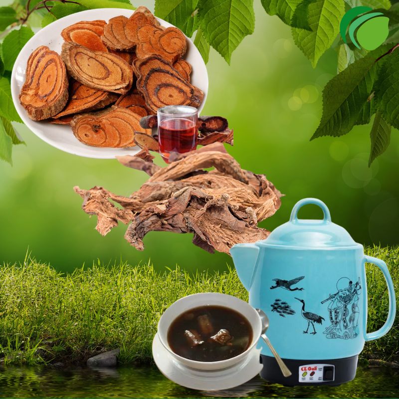 Sắc nước thiên niên kiện với cỏ máu
