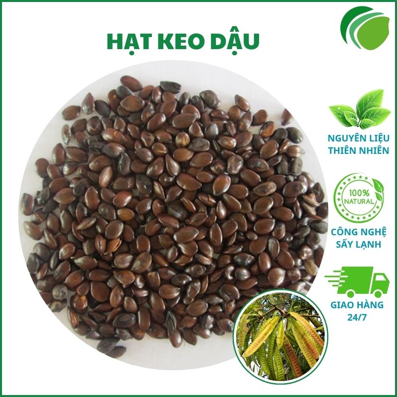 Hạt keo dậu tại HCM
