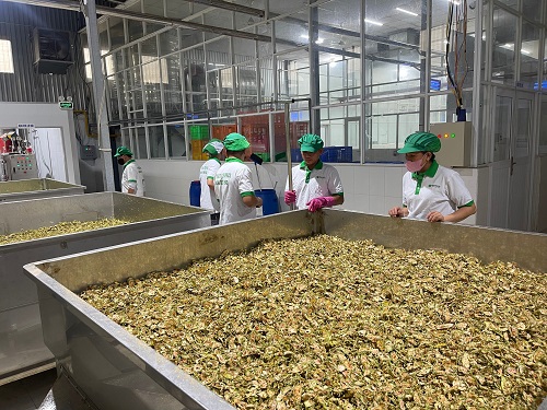 Cửa hàng thảo dược sấy khô chính hãng