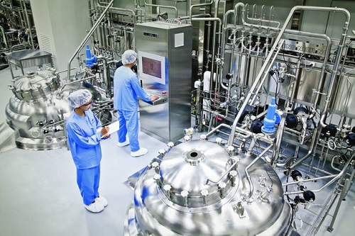 Nhà máy chế biến thảo dược đạt chuẩn quốc tế