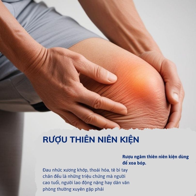 Đánh giá thực tế từ người dùng
