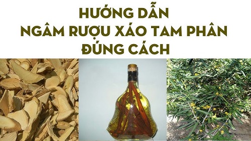 Hướng dẫn ngâm rượu xáo tam phân thơm ngon