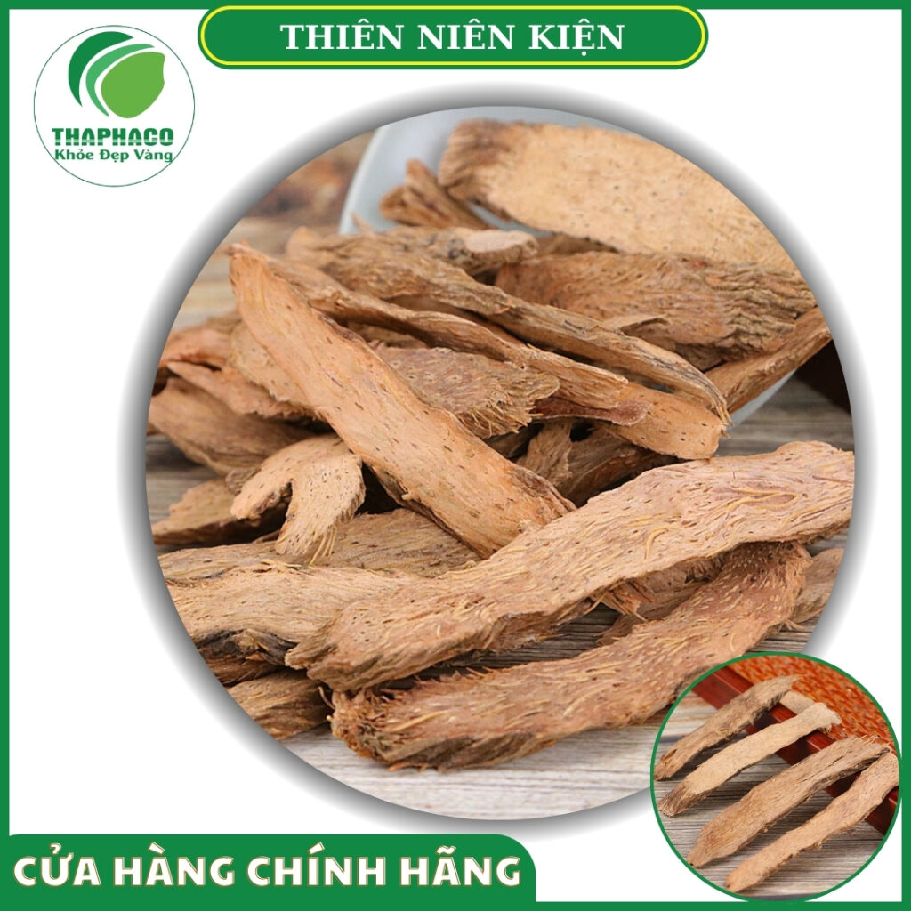 THAPHACO hiện là địa chỉ bán thiên niên kiện tại Miền Nam uy tín
