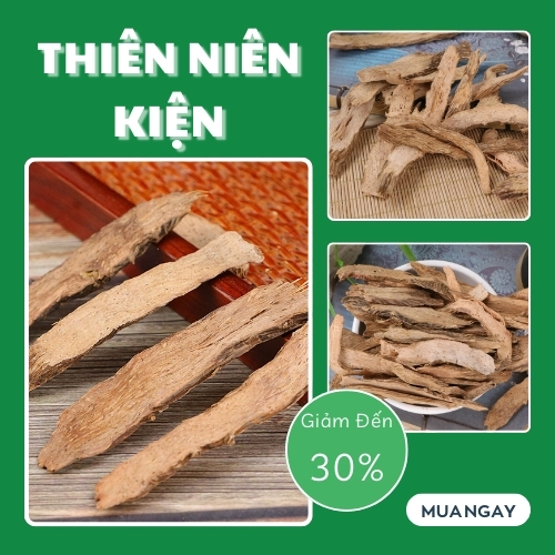 Trung tâm mua bán thiên niên kiện tại TP.HCM uy tín là THAPHACO