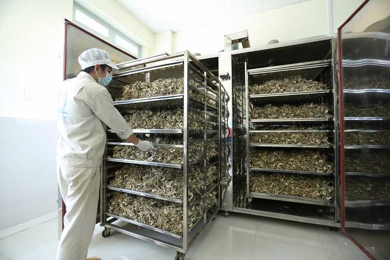 Lựa chọn THAPHACO là cơ sơ phân phối thảo dược uy tín và an tâm
