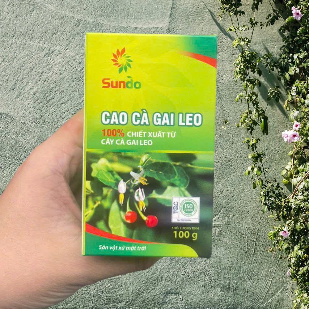 Cách dùng cao cà gai leo mẫu mới