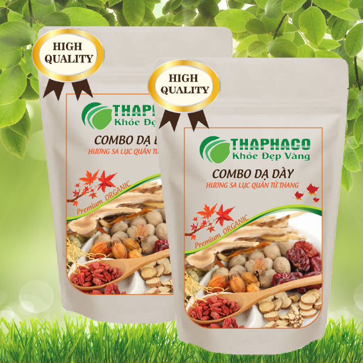 Bài thuốc nam trị đau dạ dày