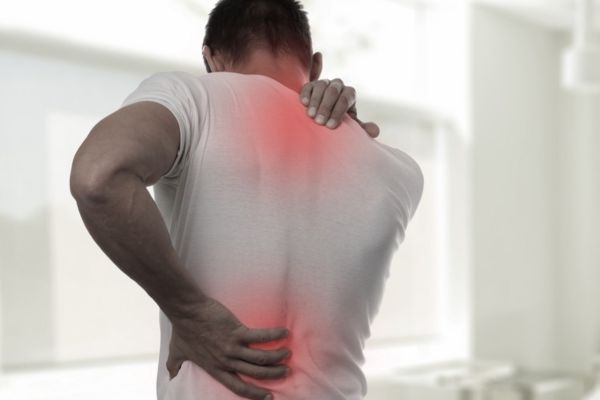 Cải thiện đau nhức xương khớp từ cây mía dò sấy khô
