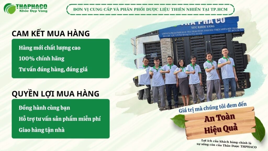 THAPHACO địa chỉ bán thuốc nam sấy khô tại TP.HCM