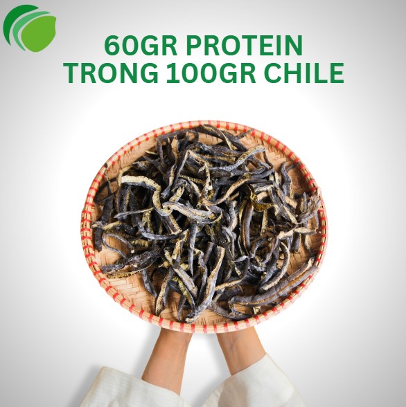 Protein có trong tảo xoắn chi lê