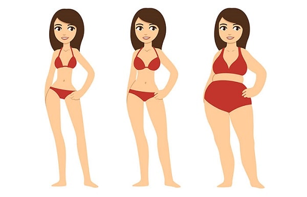 Cỏ máu hỗ trợ tăng cân tự nhiên