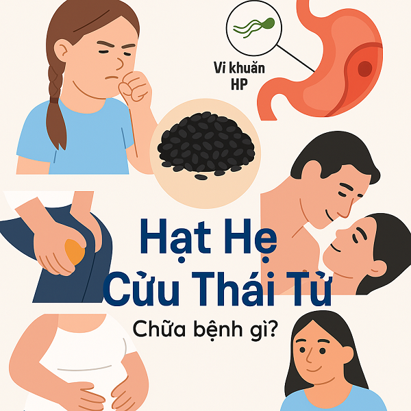 Những hoạt chất có trong hạt hẹ