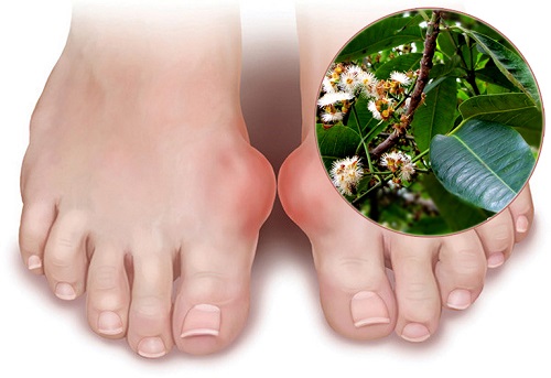 Lá vối khô mang đến nhiều tác dụng