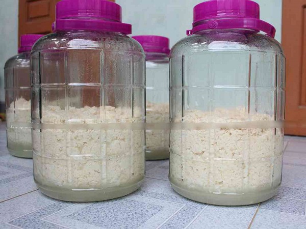 Ủ rượu gạo như thế nào tại nhà?