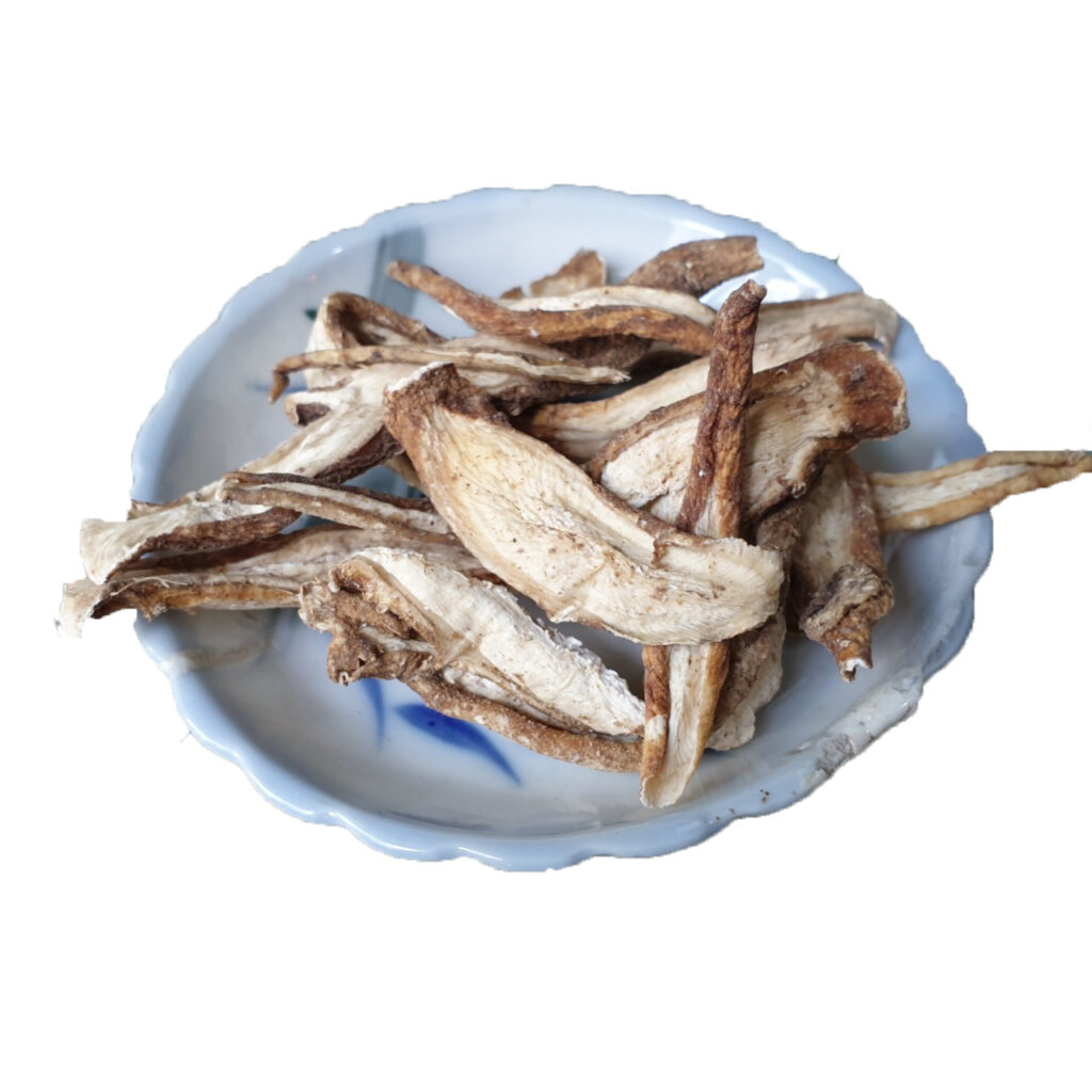 Ngưu bàng sấy khô tại THAPHACO