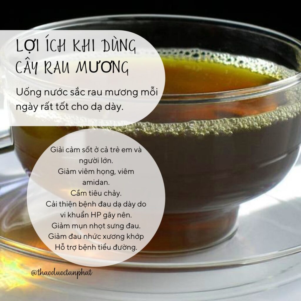 Cách dùng rau mương khô hiệu quả