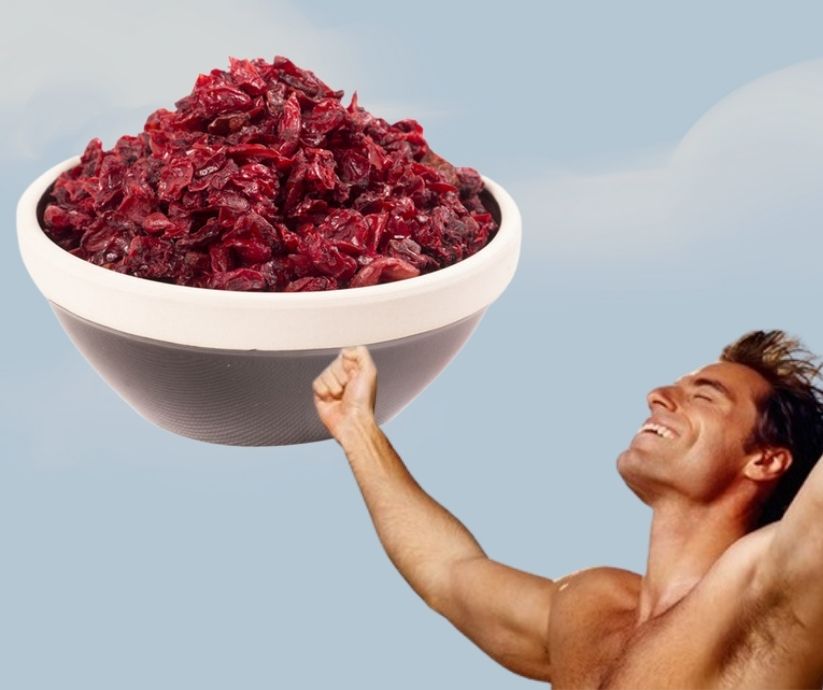Sơn thù du có khả năng cải thiện sinh lý