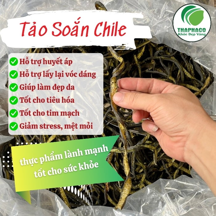 Công dụng của tảo biển Chile tại TP.HCM