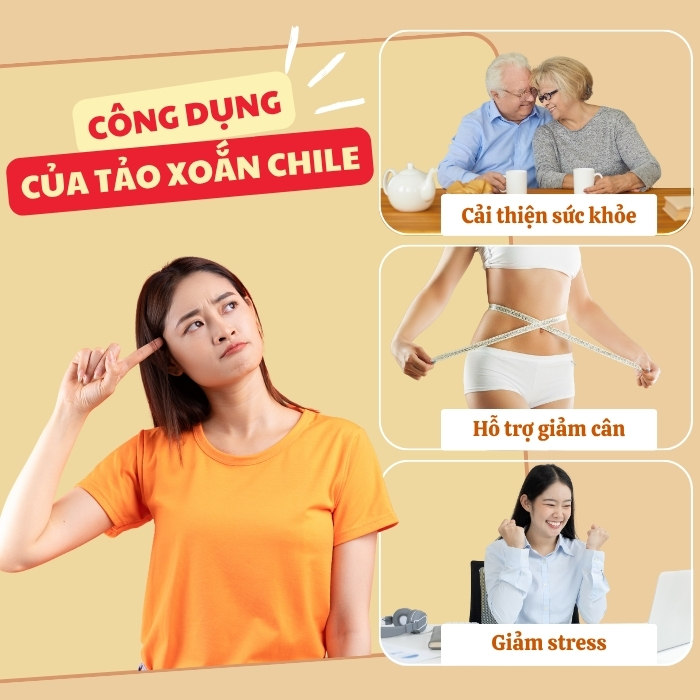 Lợi ích của tảo Chile sấy khô