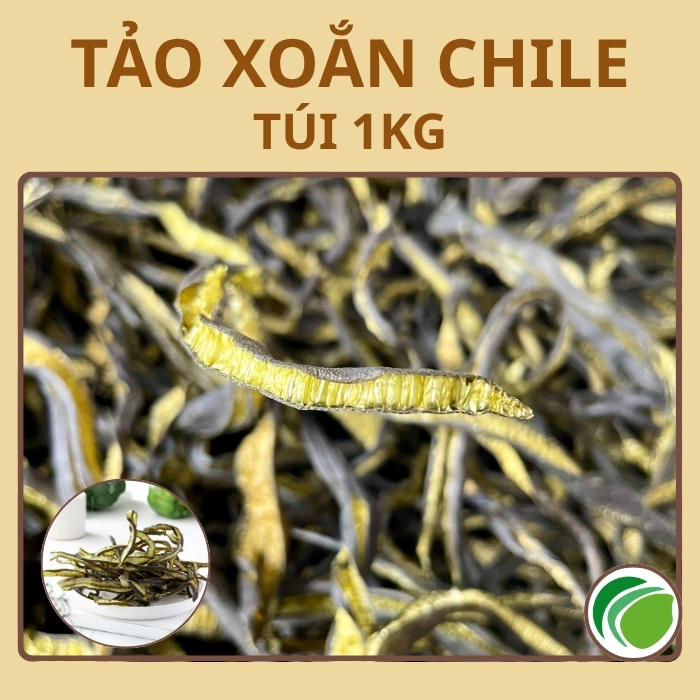 Tảo Chile sấy khô