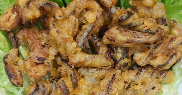 Thưởng thức món tảo chile không bị ngấm dầu